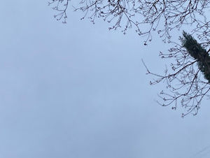 Meet your Posher, Scrwd